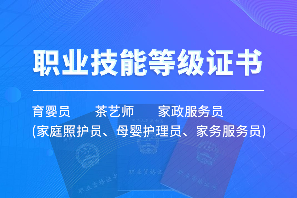 职业技能等级证书